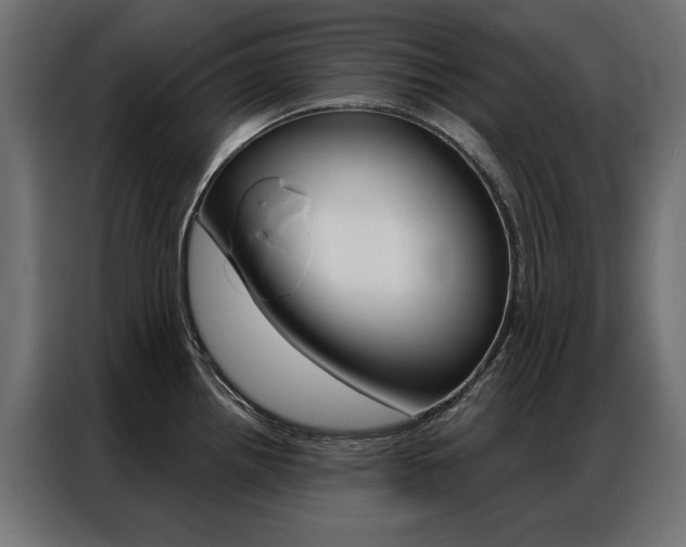 X0000086951242200704161050