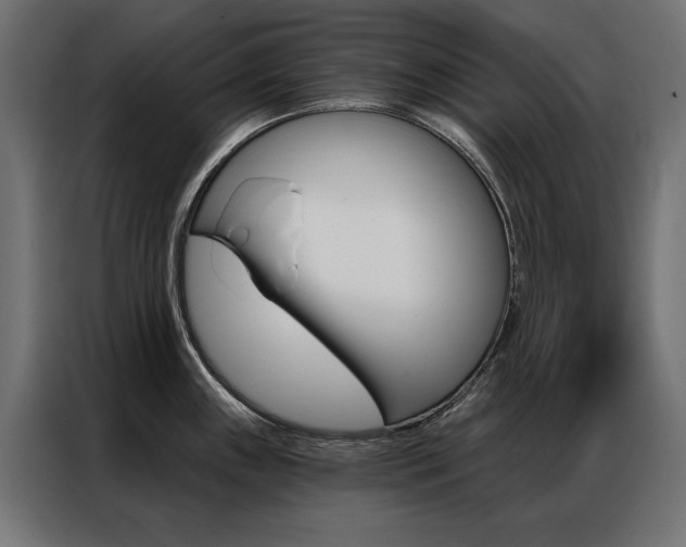 X0000086951243200704161050