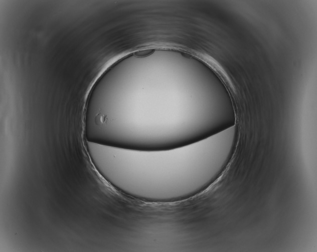 X0000086951244200704161050