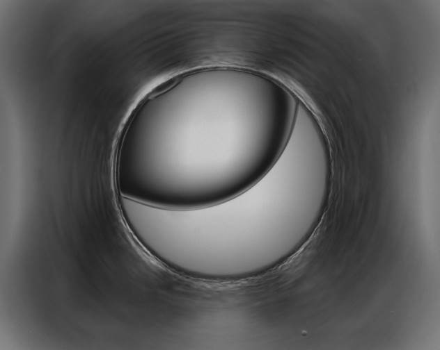 X0000086951246200704161050