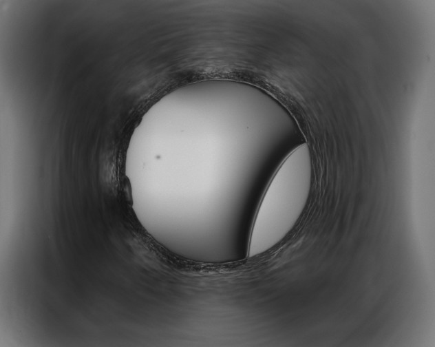 X0000086951250200704161049