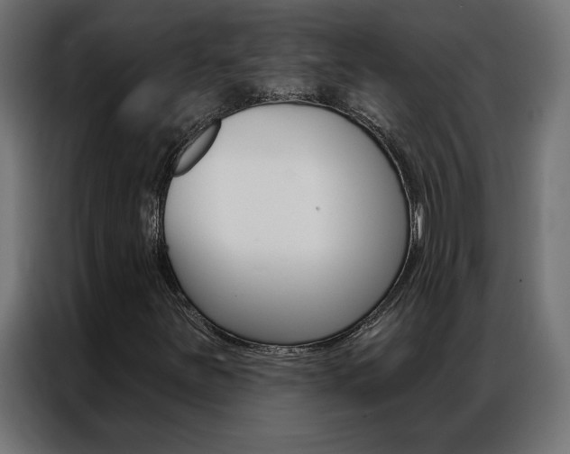 X0000086951251200704161049