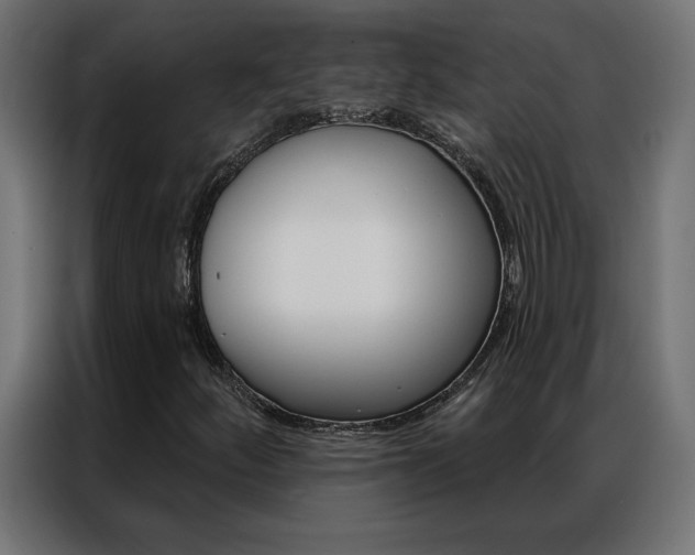 X0000086951252200704161049