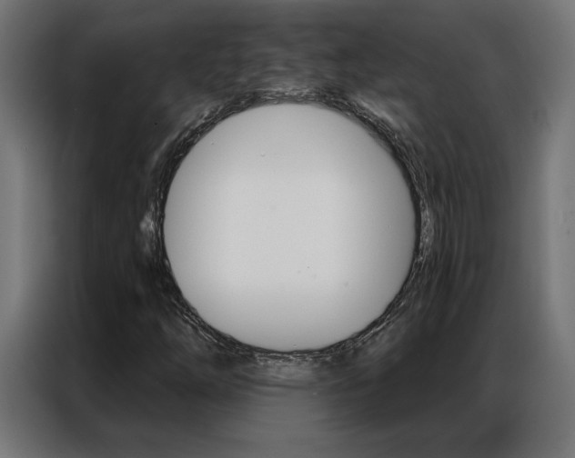 X0000086951254200704161049