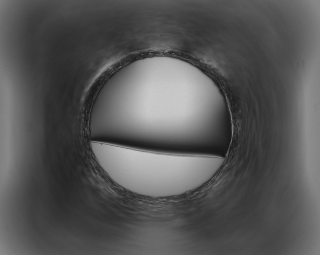 X0000086951256200704161049