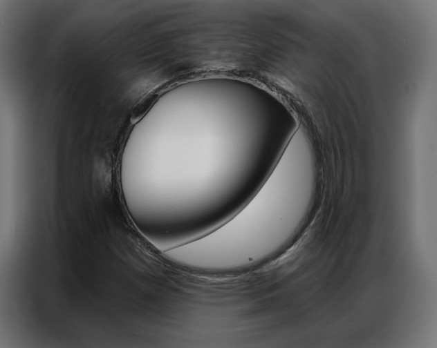 X0000086951257200704161049