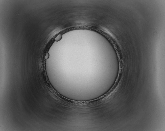 X0000086951259200704161049