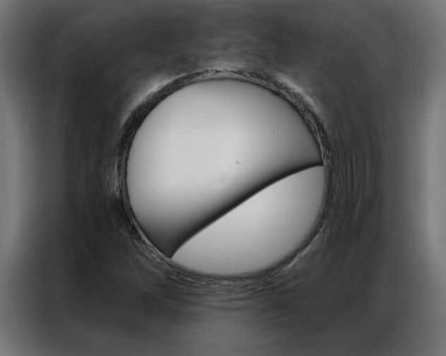 X0000086951262200704161049