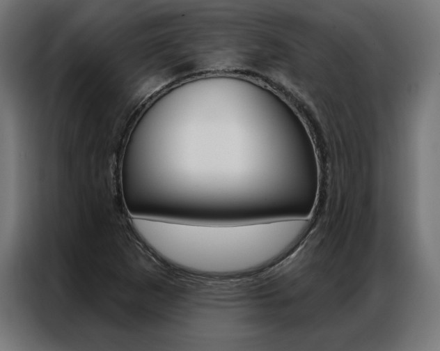 X0000086951265200704161049