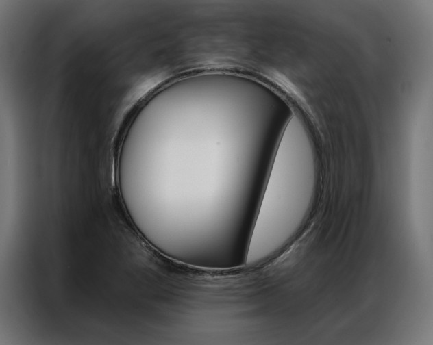 X0000086951269200704161049