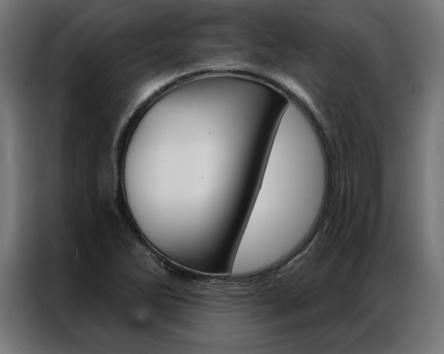X0000086951270200704161049