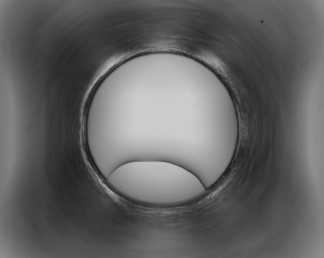 X0000086951286200704161049
