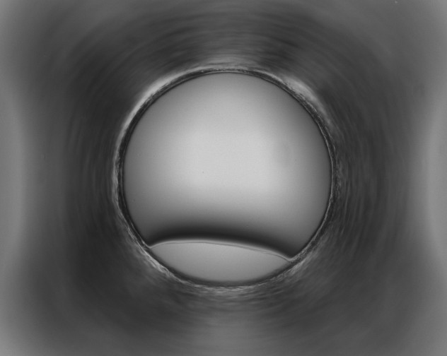 X0000086951288200704161049
