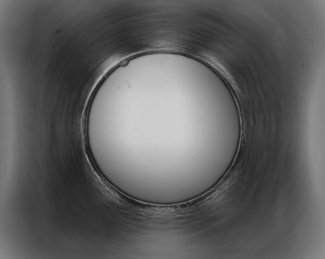 X0000086951291200704161049