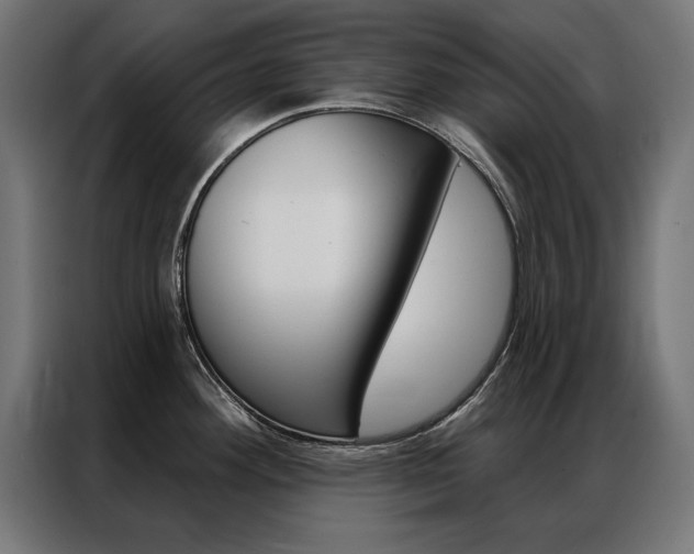 X0000086951292200704161049