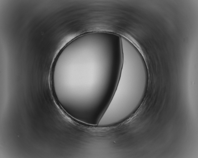 X0000086951293200704161049