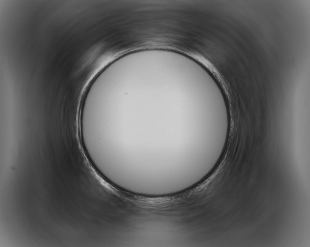 X0000086951294200704161049