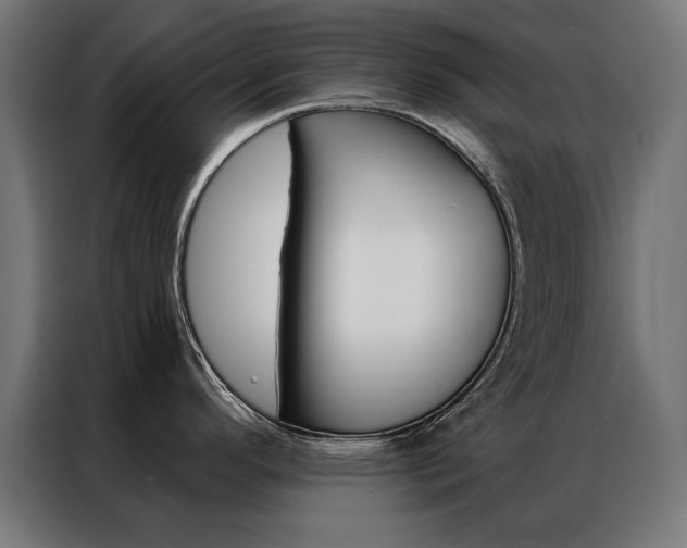 X0000086951296200704161049
