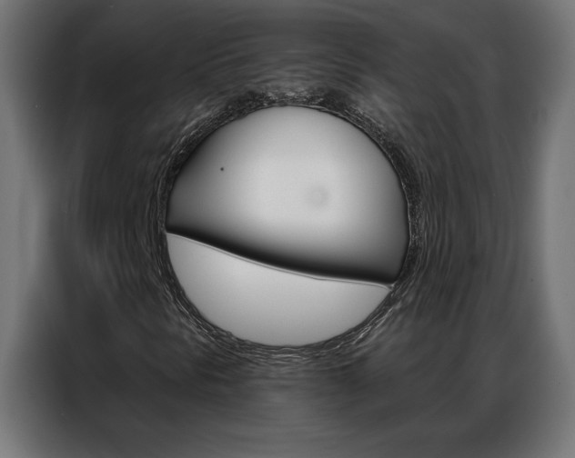 X0000086951297200704161048
