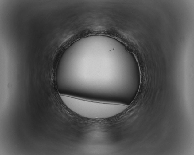 X0000086951301200704161048