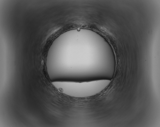 X0000086951302200704161048