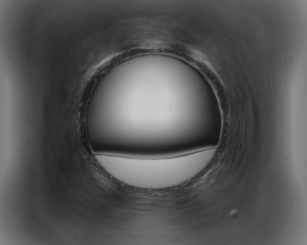X0000086951304200704161048