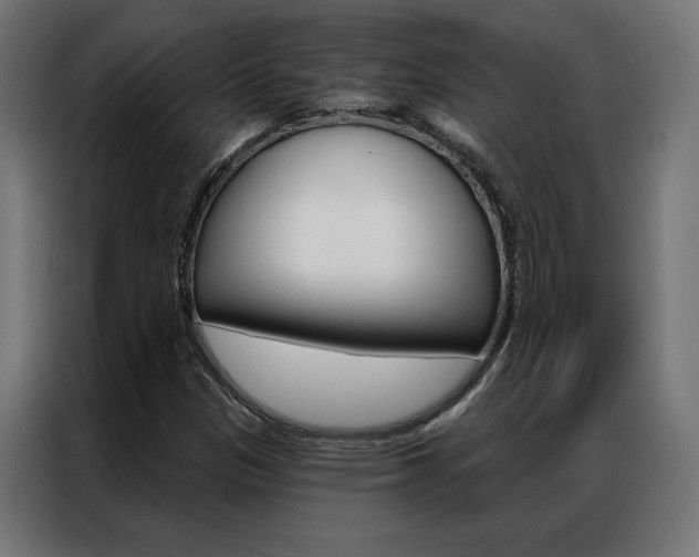 X0000086951305200704161048