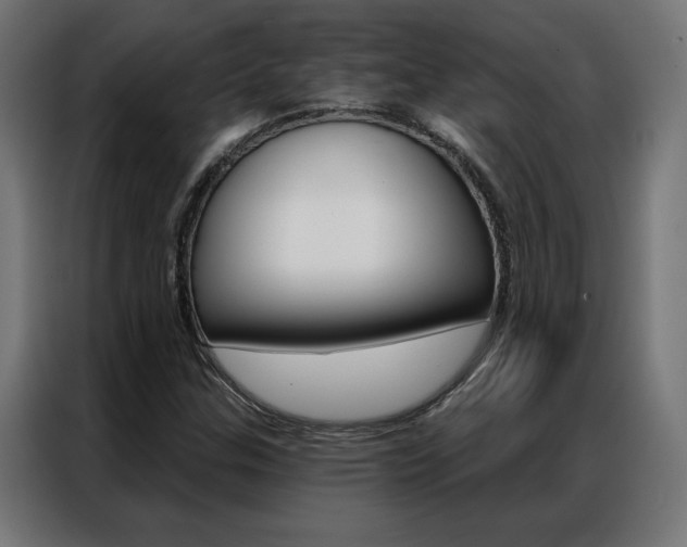 X0000086951307200704161048