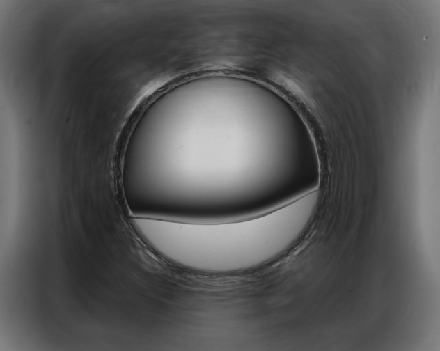 X0000086951308200704161048