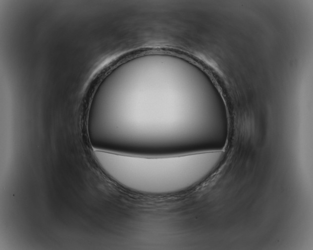 X0000086951311200704161048