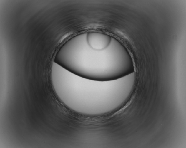X0000086951313200704161048