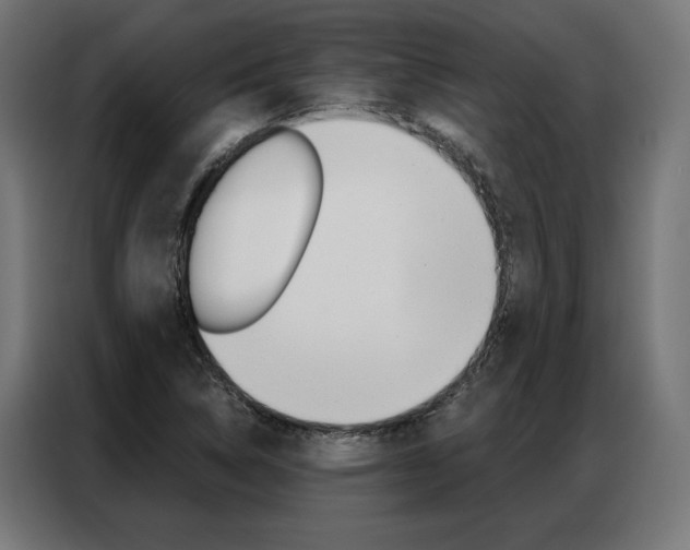 X0000086951314200704161048