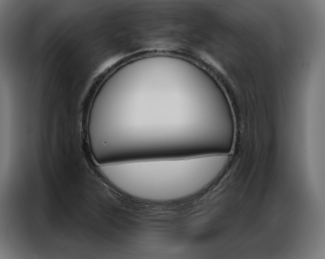 X0000086951315200704161048