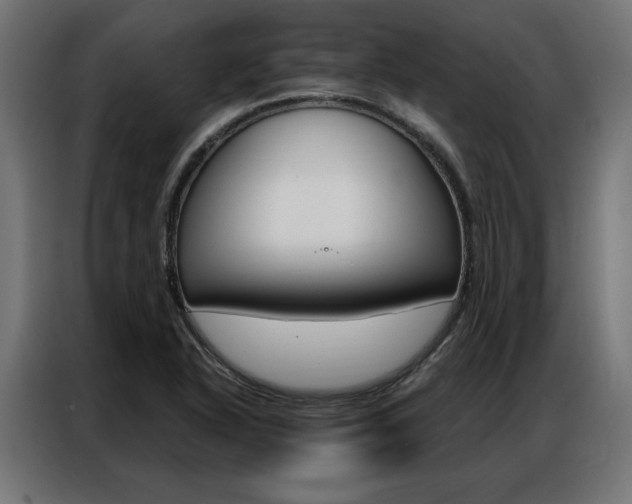 X0000086951318200704161048
