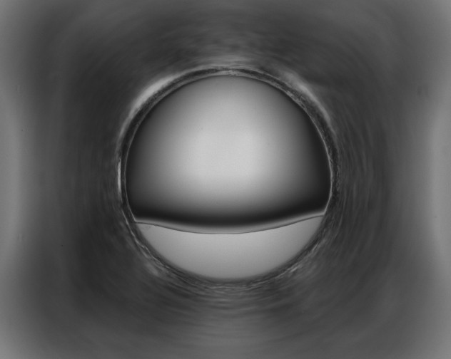 X0000086951320200704161048