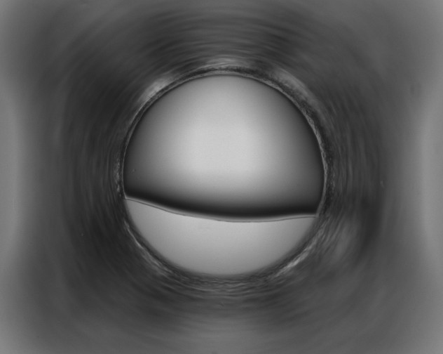 X0000086951321200704161048