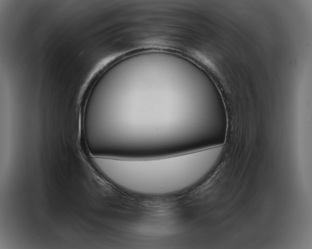 X0000086951323200704161048