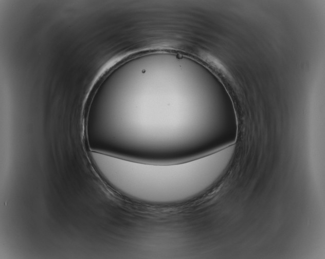 X0000086951324200704161048
