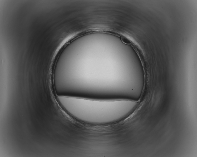 X0000086951325200704161048