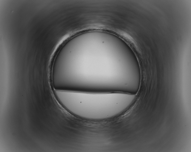 X0000086951326200704161048