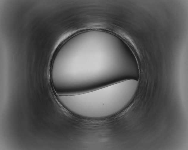 X0000086951328200704161048