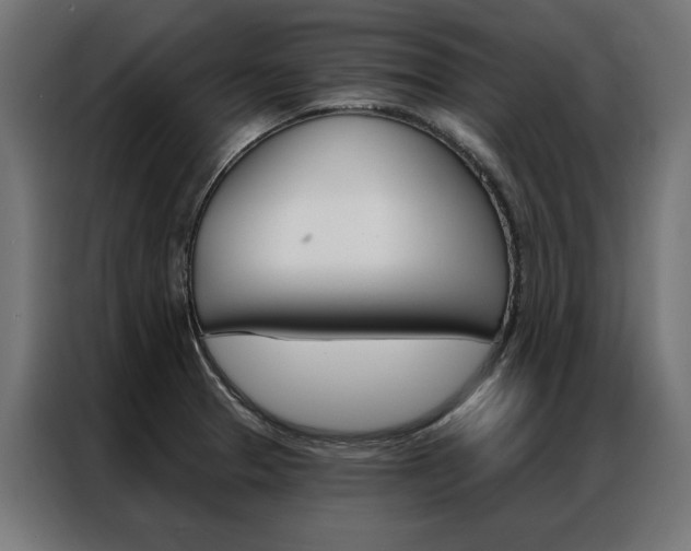 X0000086951329200704161048