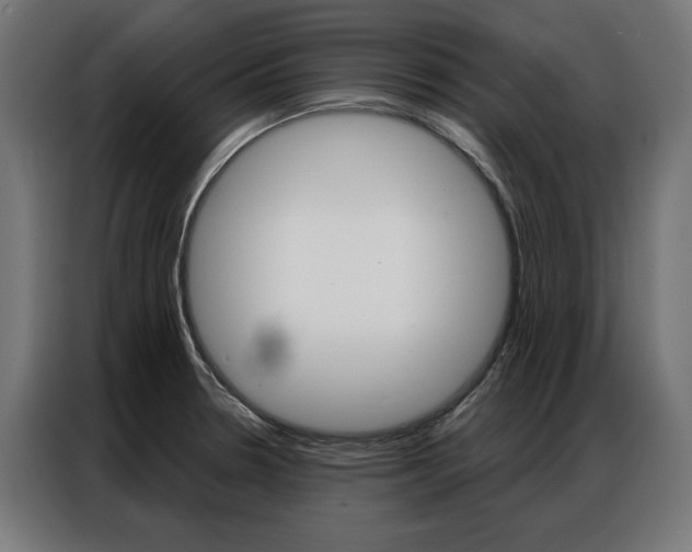 X0000086951330200704161048