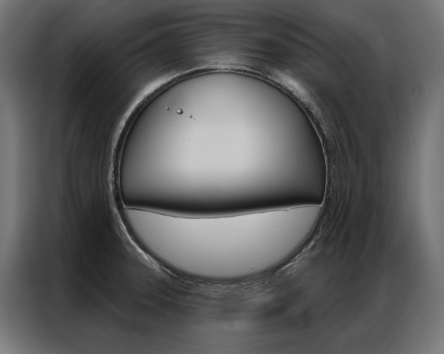 X0000086951331200704161048