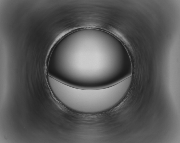 X0000086951332200704161048