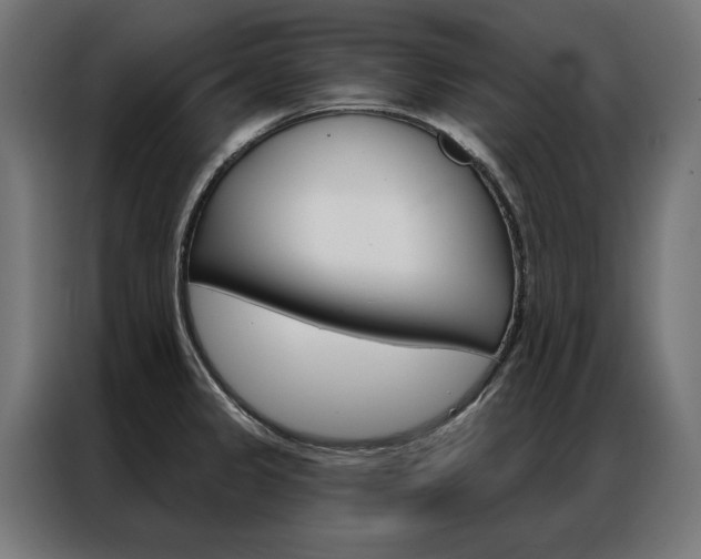 X0000086951333200704161048