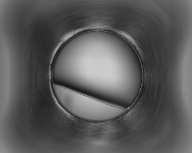 X0000086951335200704161048