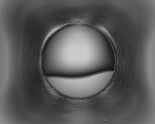 X0000086951336200704161048