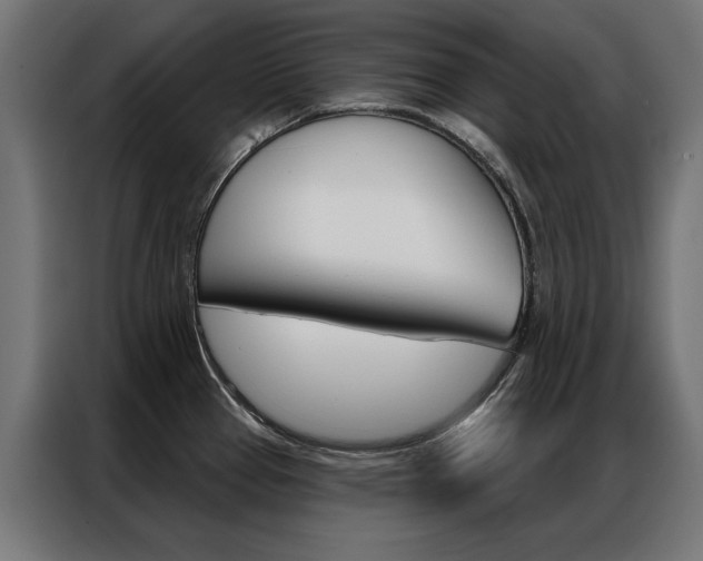 X0000086951337200704161048