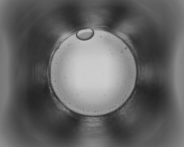 X0000086951338200704161049